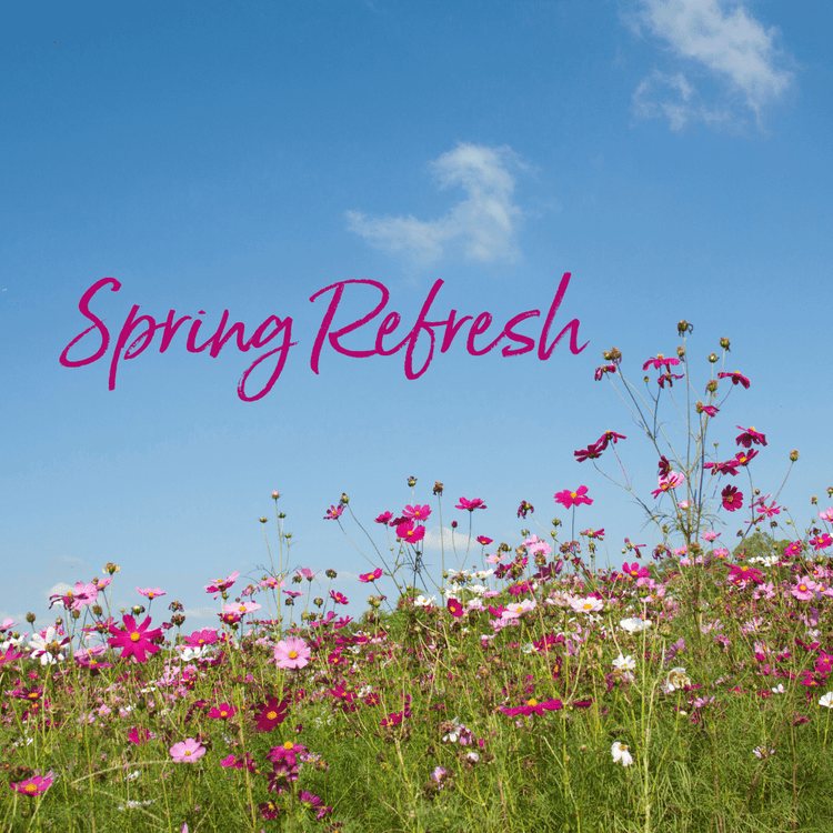 SPRING REFRESH - Sweetie's Nature Shop